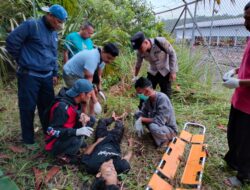 Mister X  Ditemukan Tewas Tergeletak, Diduga Korban Amukkan Massa