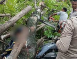 Pengendara Ojek Online Tewas Ditimpa Pohon Tumbang Saat Hujan Badai