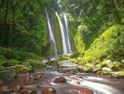 Banyak Sektor Kena Imbas Jika Pariwisata Pasaman Maju