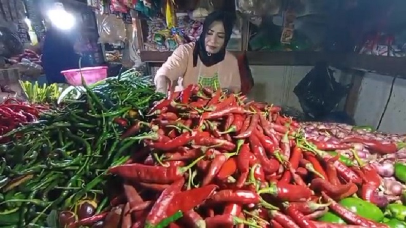 Harga cabai
