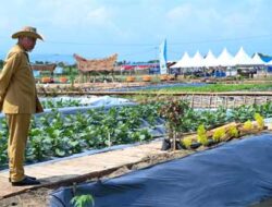 Gubernur Sumbar Tinjau Kesiapan Penas Tani XVI