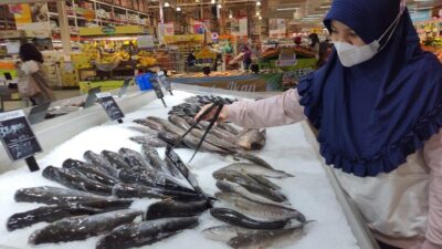 Stok Ikan untuk Puasa dan Lebaran Dipastikan Aman.
