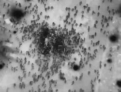 Kematian Tragis di Gaza, Tuntutan Guterres untuk Keadilan Independen