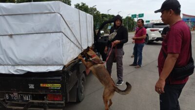 Kejar Sindikat Narkoba, Polri Lakukan Operasi Bersama Anjing Pelacak di Lampung