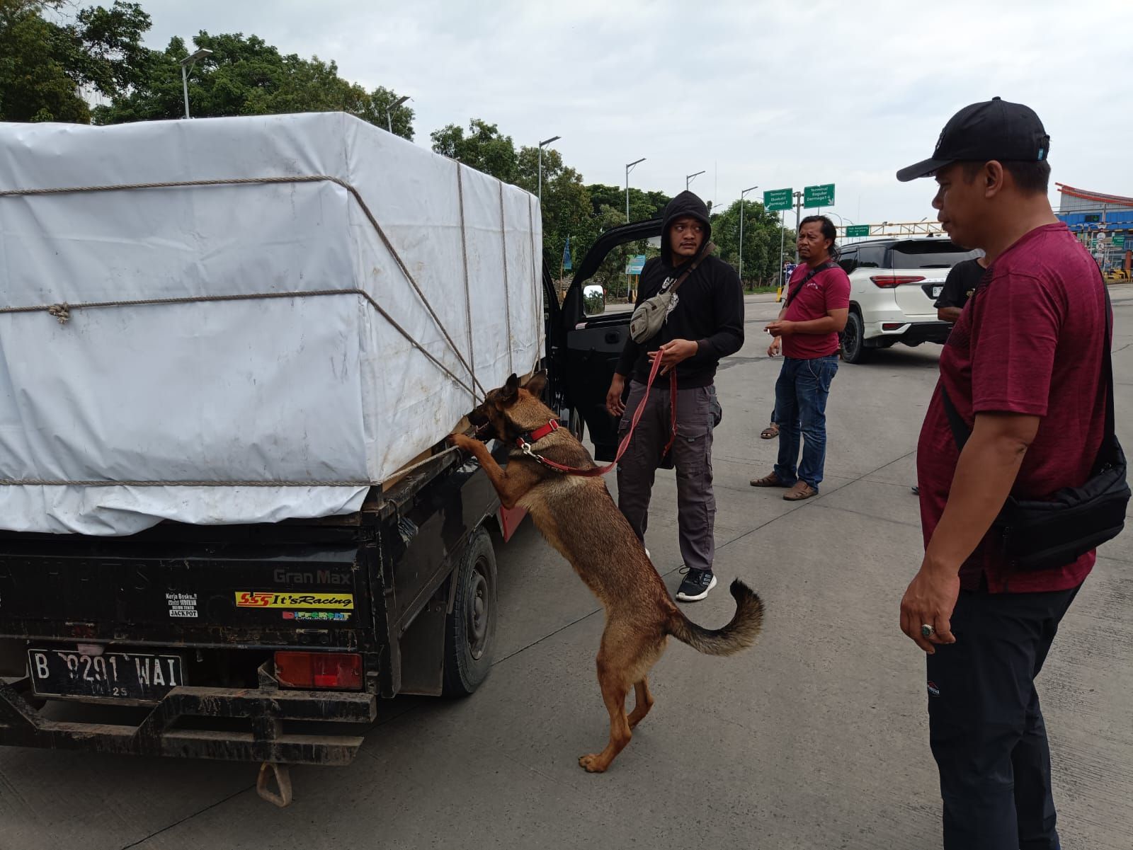 Anjing Pelacak