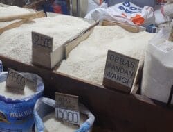 Pasokan Beras Terbatas, Tantangan Masyarakat Indonesia