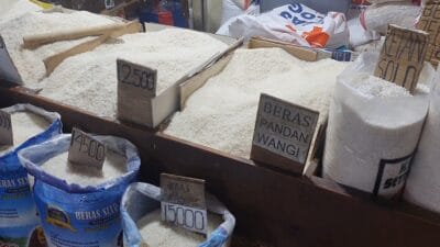 Pasokan Beras Terbatas, Tantangan Masyarakat Indonesia