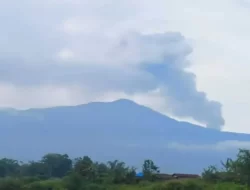 Peringatan PVMBG, Gas Beracun Gunung Marapi Menurun, Waspada Tetap Diperlukan