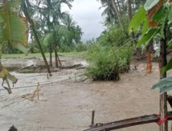 Banjir Bandang Mengakibatkan Kerusakan Sawah dan Gagal Panen