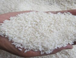 Pedagang Bicara, Kenapa Harga Beras Terus Meningkat di Bulan Puasa?