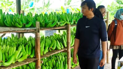 Foto: Dok BRI.
