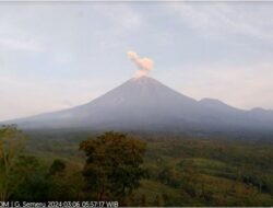 Gunung Semeru Kembali Erupsi, Tinggi Kolom Letusan Capai 800 Meter