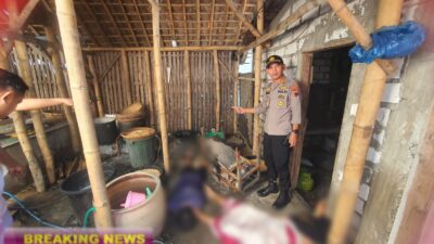 Bapak dan Anak Meninggal Dunia Tersengat Aliran Listrik 