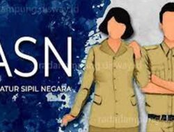 Siapkan Berkas Anda, 2024 Pemerintah Butuh 2.302.543 Formasi ASN, Tenaga Pendidikan Paling Banyak