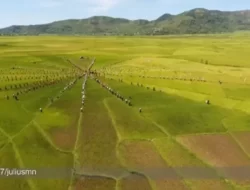 Kearifan Lokal, Menelusuri Pesona Lingko Meler di Flores