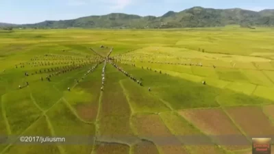 Kearifan Lokal, Menelusuri Pesona Lingko Meler di Flores