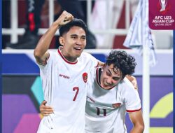 Peran Pemain Naturalisasi dalam Kinerja Timnas Indonesia, Tinjauan Aji Santoso