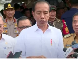 Freeport Indonesia Dapat Restu Perpanjangan Izin Ekspor dari Jokowi