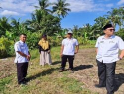 Pasaman Barat Tambah Alokasi Pupuk Bersubsidi untuk Petani Jagung