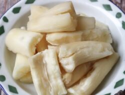 Food Combining, Panduan Kombinasi Makanan dengan Singkong Rebus