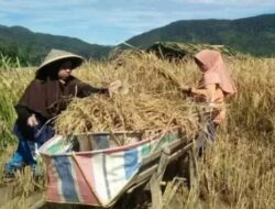 Registrasi PSAT-PDUK, Solok Berkomitmen pada Pangan Sehat dan Berkualitas