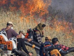 Taleb Abdallah, Komandan Senior Hizbullah, Tewas Diserang Israel