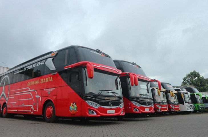 PO Gunung Harta milik siapa? Ini dia orangnya.