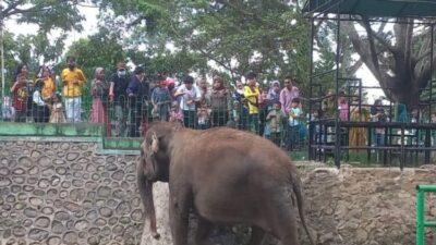 Erman Safar Tingkatkan Kualitas TMSBK Meski Terbatas Lahan