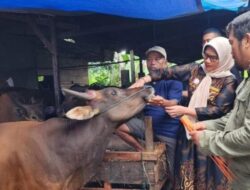 Dinas Pertanian Padang, Hewan Kurban Wajib Miliki SKKH
