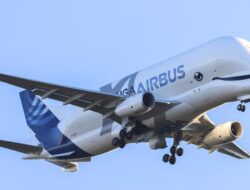 Mengenal Airbus Beluga, Pesawat Kargo Unik dengan Bentuk Mirip Paus