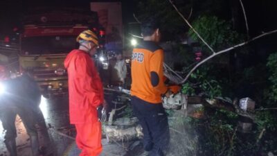 Hujan dan Angin Kencang di Padang, Pohon Tumbang Timpa Pengendara