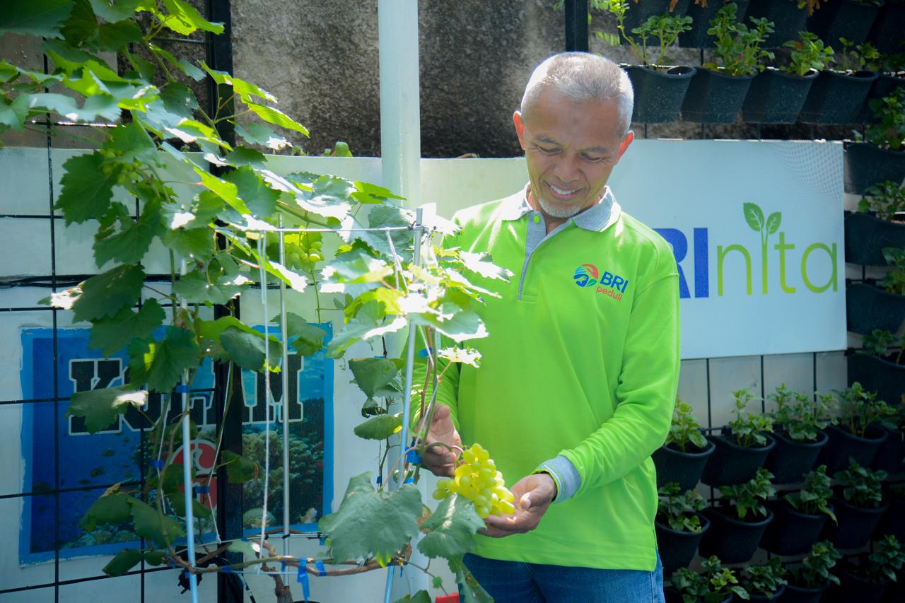 Didukung BRINita, kelompok tani ini sulap lahan terbengkalai jadi produktif.