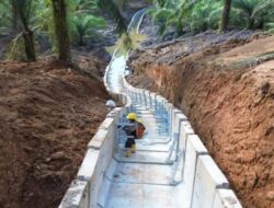 PLN Mendukung IKN Nusantara dengan Infrastruktur Kelistrikan Modern