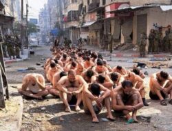Kritik Tajam dari OHCHR, Israel Langgar Hukum atas Serangan Anjing