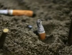 Peran Besar Industri Rokok, Cukai dan Pajak Sumbang Pendapatan Negara