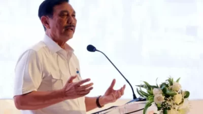 Peringatan Luhut ke investor China.