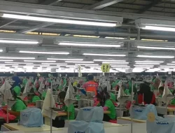 Pertumbuhan Industri Tekstil di Triwulan I 2024 Capai 2,64% Berkat Kebijakan Baru