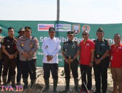 Alfamart Tanam 500 Pohon Mangrove di Jembatan Merah PasarBanggi Rembang