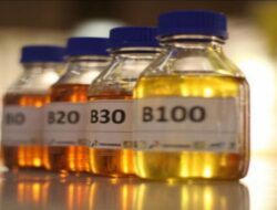 Indonesia Tunggu Kepastian EU untuk Tingkatkan Hilirisasi Sawit