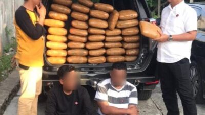 Operasi Narkoba, 4 Tersangka Ganja Ditangkap di Sumbar dan Sumut