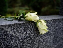 Lisa Pisano, Penerima Cangkok Ginjal Babi, Meninggal Dunia