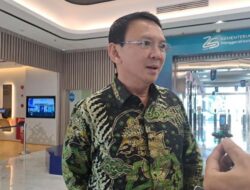 Ahok Dukung Kebijakan Insentif Bea Masuk untuk Mobil Listrik Asal China