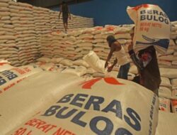 Temuan Tim Review, Dokumen Impor Beras Tidak Lengkap Picu Biaya Demurrage Rp294,5 Miliar