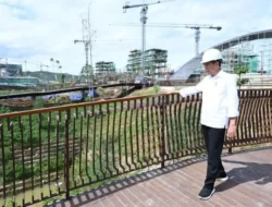 Jokowi, IKN Tingkatkan Potensi Pertanian di Sekitarnya