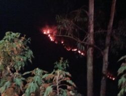 Angin Kencang Perparah Kebakaran di Tingging