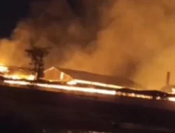 Api Melahap Pabrik Karton di Kawasan Industri Pasuruan