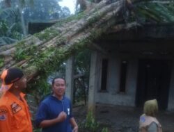 Kerusakan Akibat Cuaca Buruk di Bogor, Rumah Warga Terdampak