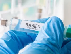 Dinas Pangan dan Pertanian Cegah Rabies di Padangpanjang