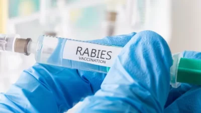 Dinas Pangan dan Pertanian Cegah Rabies di Padangpanjang