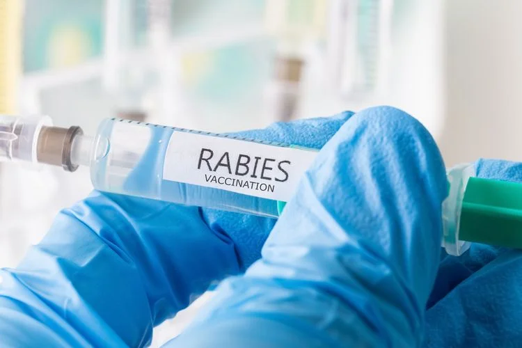 Rabies